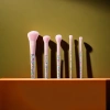 Pink bristle makeup brush set of 12 professional makeup brushes comes with a storage bag Specification image